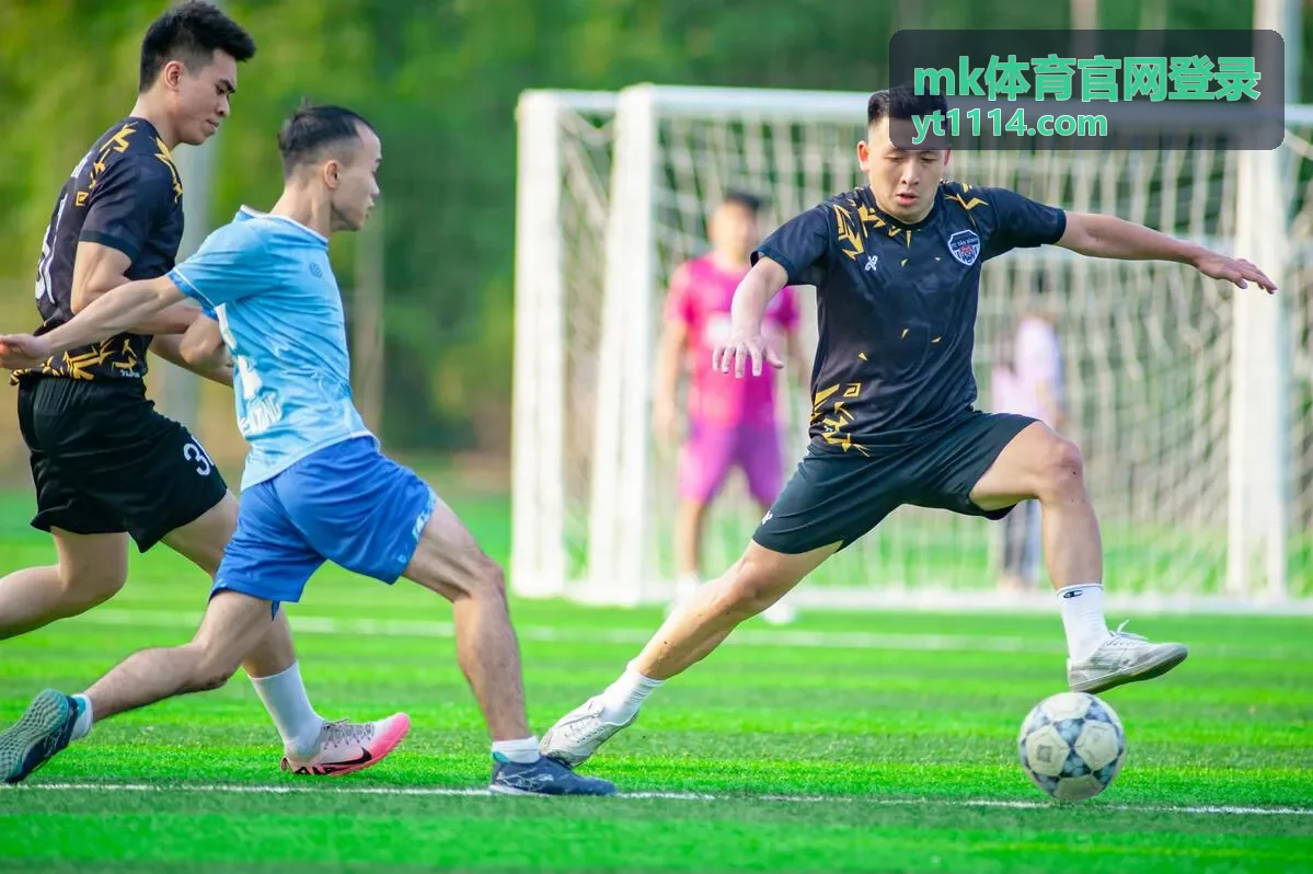 mk体育官网登录常见问题与登录自查页面示意图