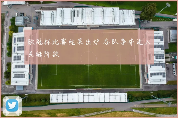 欧冠杯比赛结果出炉 各队争夺进入关键阶段