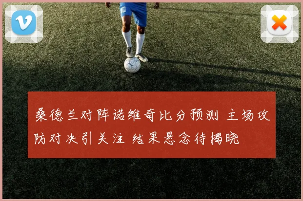 桑德兰对阵诺维奇比分预测 主场攻防对决引关注 结果悬念待揭晓