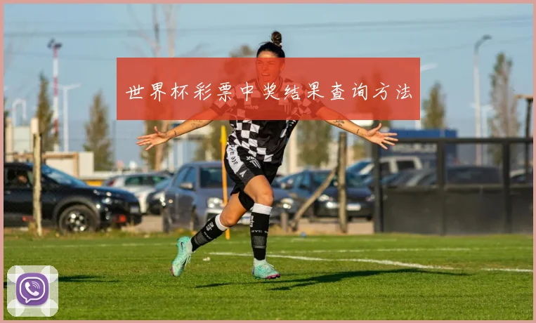 世界杯彩票中奖结果查询方法