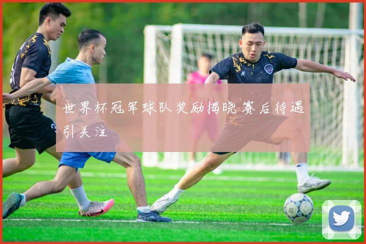 世界杯冠军球队奖励揭晓 赛后待遇引关注