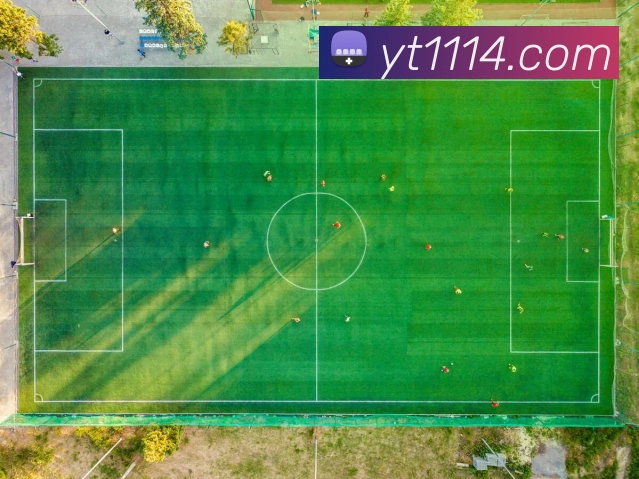mksports官网登录平台生态图