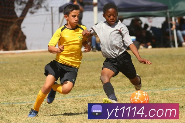 App Interface Preview